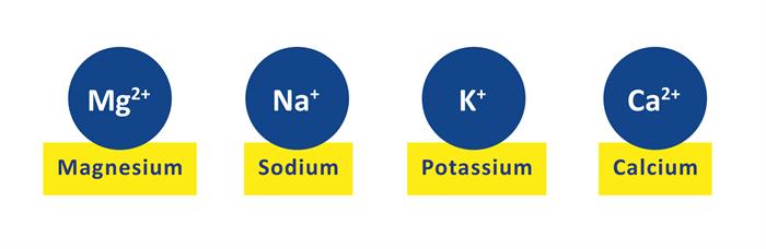 Electrolytes Electrolytes